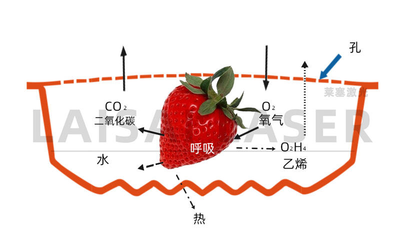 激光打孔??气调果蔬保鲜包装运用方案